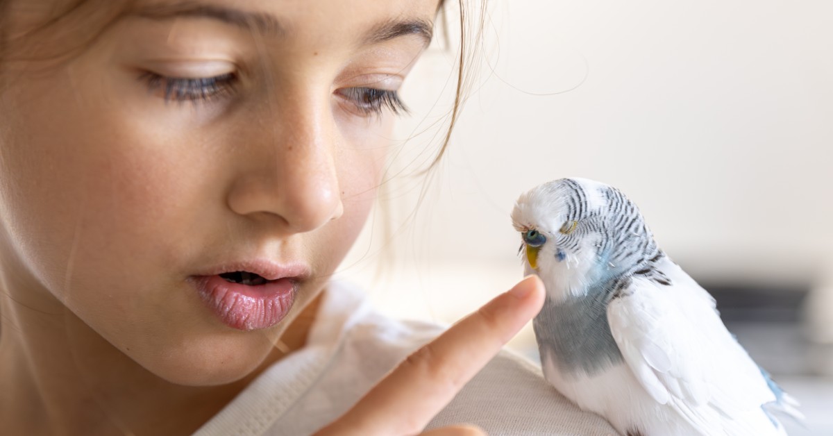 Common Avian Illnesses and How to Prevent Them